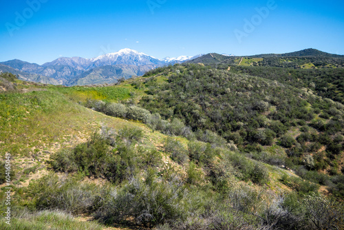Spring in Yucaipa, California, after a wet winter with the green hills looking at San Gorgonio Mountain from Crafton Hills