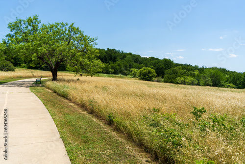 path in the park