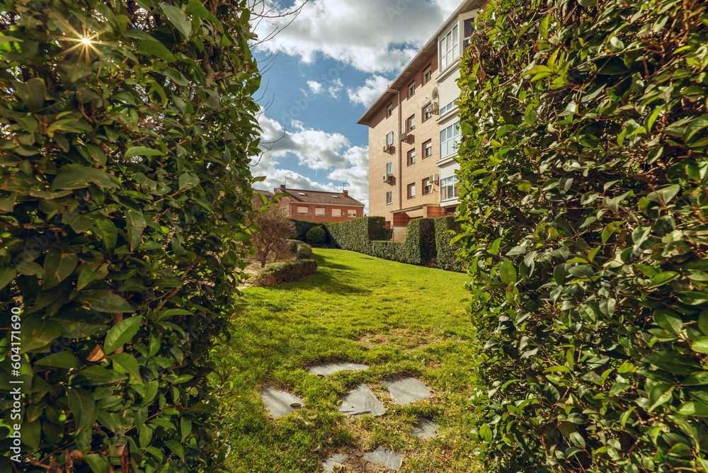 Naklejka premium Landscaped plot with lots of grass and hedges