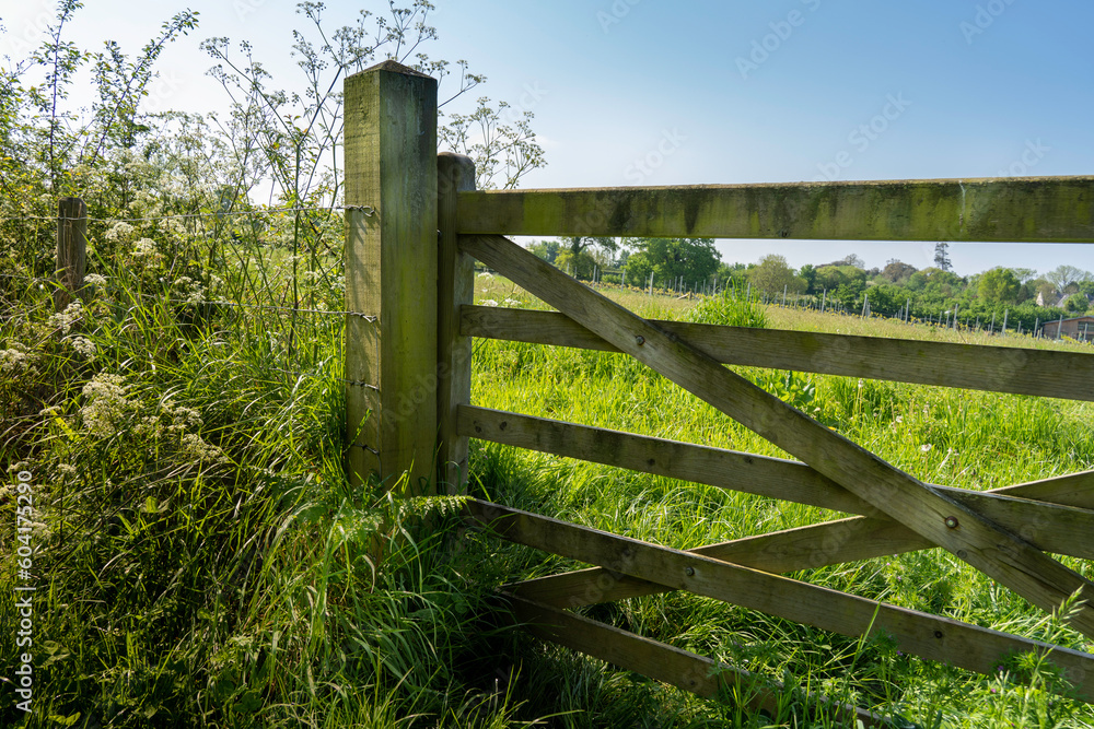 Five bar wooden field (Farm) gate in the English countryside