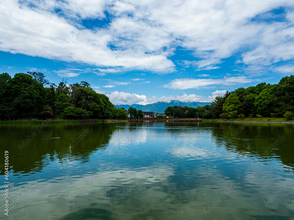 公園の池に映る青い空と白い雲 公園の池に映る青い空と白い雲
