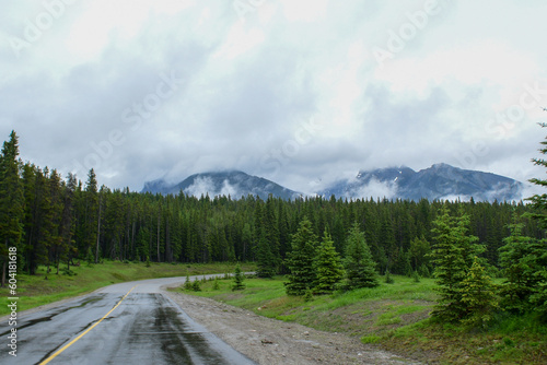 Beautiful road in the Canadian Rocky Mountains surrounded by green trees