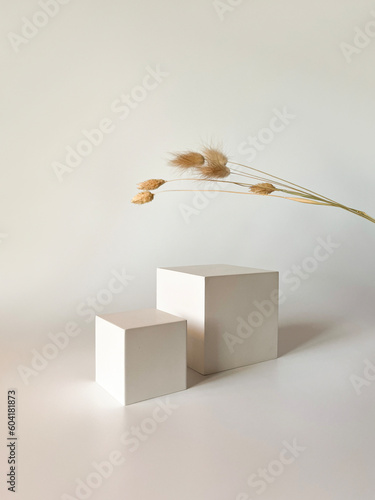 Abstract white 3D room with realistic white pedestal podium set and shadow overlay. Minimal scene for product display presentation. Geometric platform with dry flowers. Stage for showcase.