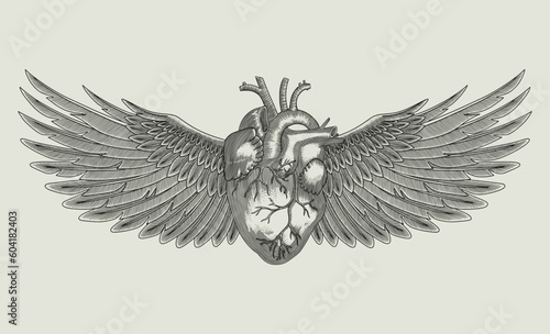 heart with angel wings, Vector vintage engraving style illustration