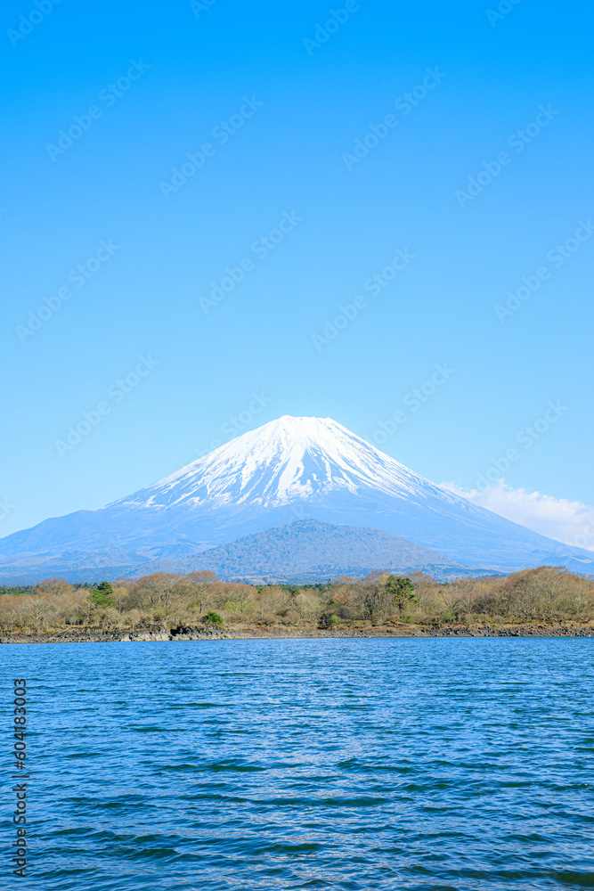 春の精進湖と富士山　山梨県富士河口湖町　Lake shojiko and Mt.Fuji in spring. Yamanashi Pref, Fujikawaguchiko Town.