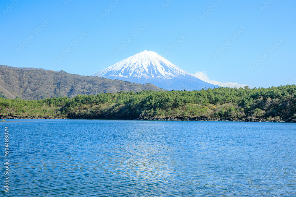 春の西湖と富士山 山梨県富士河口湖町 Lake Saiko and Mt.Fuji in spring. Yamanashi Pref, Fujikawaguchiko Town. 春の西湖と富士山 山梨県富士河口湖町 Lake Saiko and Mt.Fuji in spring. Yamanashi Pref, Fujikawaguchiko Town.