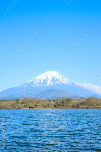 春の精進湖と富士山 山梨県富士河口湖町 Lake shojiko and Mt.Fuji in spring. Yamanashi Pref, Fujikawaguchiko Town.