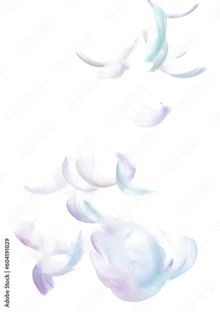 Fototapeta premium Many Pastel Feather fly fall in Air over white background isolated. Puffy Fluffy soft feathers as purity smooth like dream floating dove in sky. Angle flying from heaven, photo motion