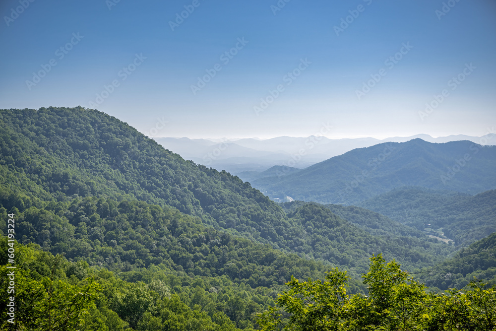 Naklejka premium farmhouse