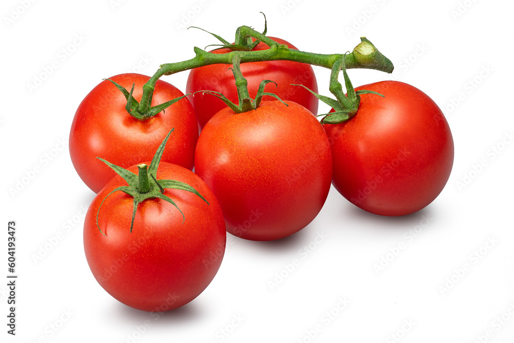 枝付きのトマト