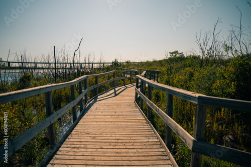 Whitefish Island River Viewpoint in Sault Ste. Marie, CANADA © IBRESTER
