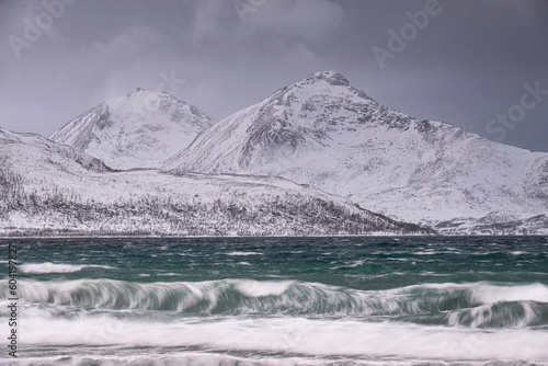 Wallpaper Mural Waves on Grotfjord (Grotfjorden) Beach in winter, Kvaloya Island, near Tromvik, Troms og Finnmark County, Norway Torontodigital.ca