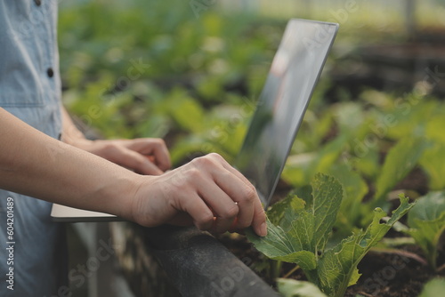 Asian woman farmer using digital tablet in vegetable garden at greenhouse, Business agriculture technology concept, quality smart farmer. © ARMMY PICCA
