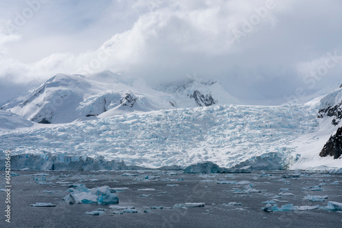 Glacier, Paradise Bay, Antarctica photo