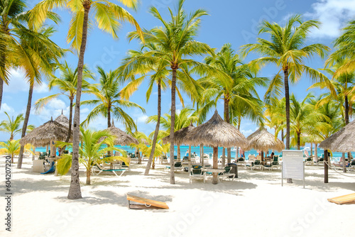 Fototapeta Naklejka Na Ścianę i Meble -  Palm Beach Aruba Caribbean, white long sandy beach with palm trees at Aruba Antilles.