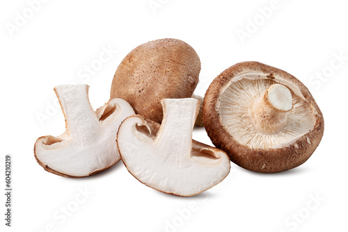 fresh shiitake mushrooms with slices isolated on white background. photo