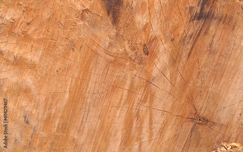 wenge oak, a flat surface of natural wood with a rich close-up pattern. plywood textured wooden background or wood surface of the old at grunge dark grain wall texture of panel top view. Vintage teak.