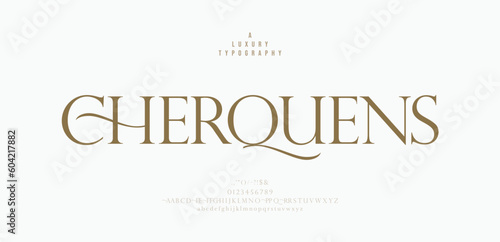 Luxury alphabet letters font. Classic Elegant Modern Serif Lettering Minimal Fashion Logo. Typography decoration fonts for branding, wedding, logos. vector illustration
