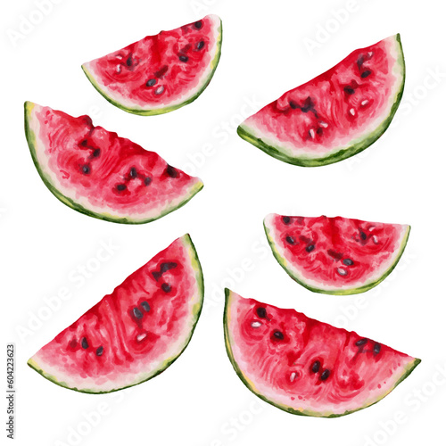 Set of watermelon slices.Delicious, juicy fruit that quenches thirst.Hand-drawn illustration.