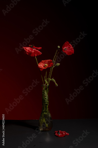 Elegant Burst  Bouquet of Red Poppies on an Orange Background in a Graceful Glass Vase 
