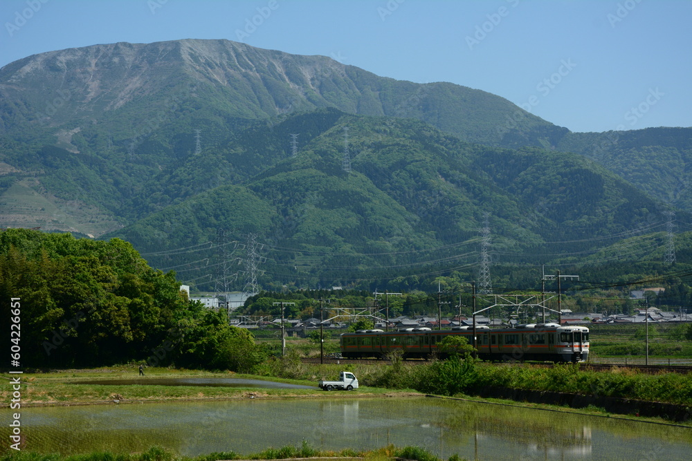 初夏の伊吹山麓を走る313系普通列車 (東海道本線 近江長岡 - 柏原, 2023年5月) 初夏の伊吹山麓を走る313系普通列車 (東海道本線 近江長岡 - 柏原, 2023年5月)
