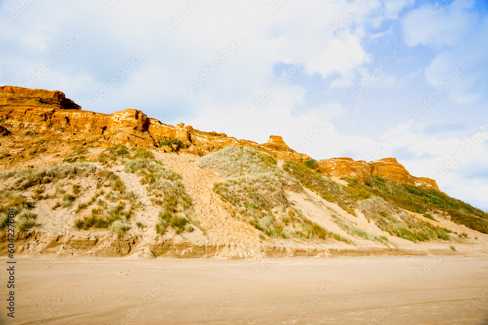 Orange coloured sand dunes and beach at Bayleys beach in Northland