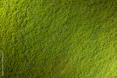 広大な草原の草　朝霧高原　空撮