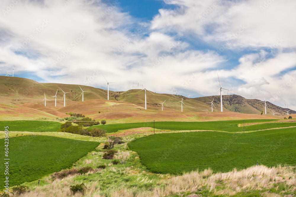 Green agriculture fields and wind power generators in Washinton, USA