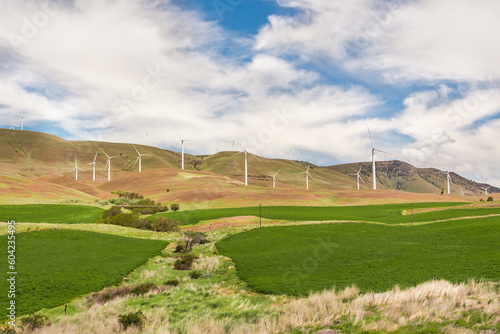 Green agriculture fields and wind power generators in Washinton, USA