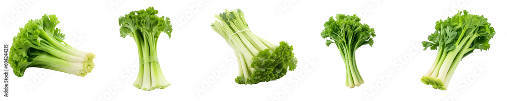Set of celery isolated on transparent background Set of celery isolated on transparent background