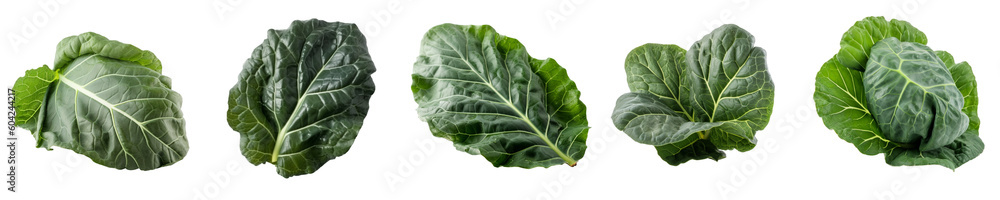 Fototapeta premium Set of collard green isolated on transparent background 