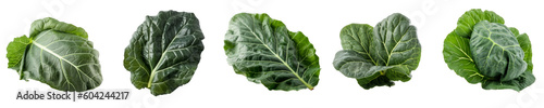 Set of collard green isolated on transparent background	