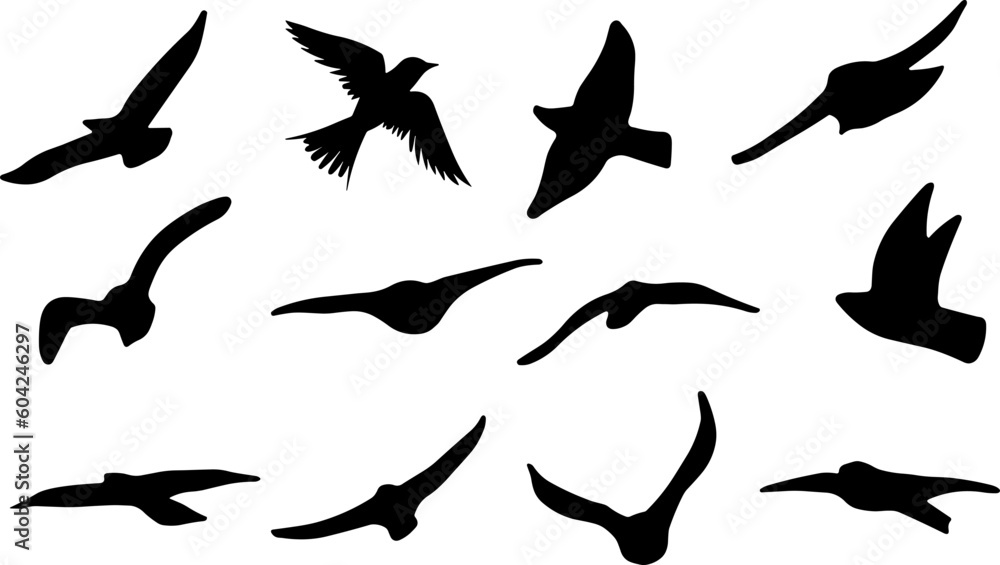 set of silhouettes of flying birds - Stock vector set of silhouettes of flying birds - Stock vector