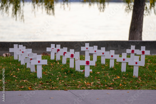 A group of white crosses with red poppy flowers stands on a grassy field by a lake.