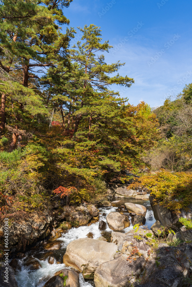 昇仙峡の秋 昇仙峡の秋
