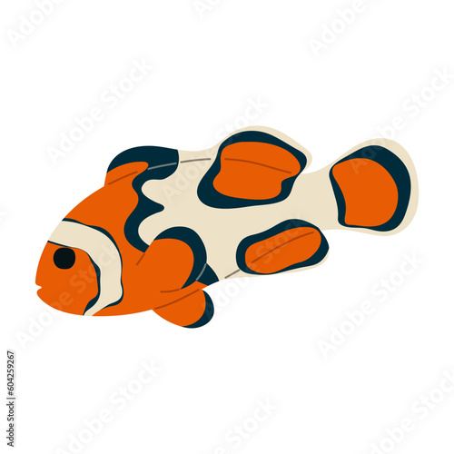 Anemonefish Single 8 on white background, vector illustration. 