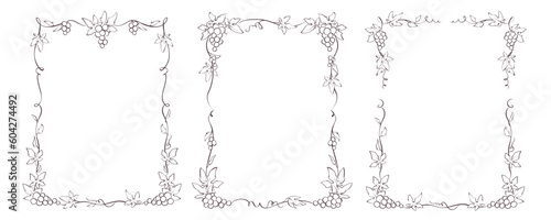 Set of design elements with vine. Vector graphic illustration, frames for wine label design	