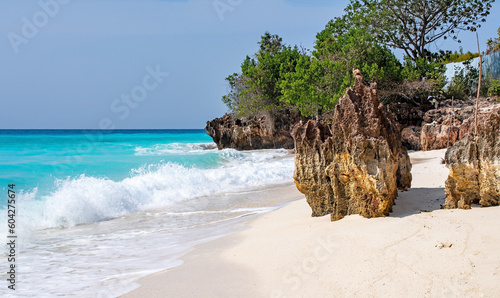 beach with trees Beautiful tropical island of Zanzibar. Sea and beach of Zanzibar, Tanzania. 
