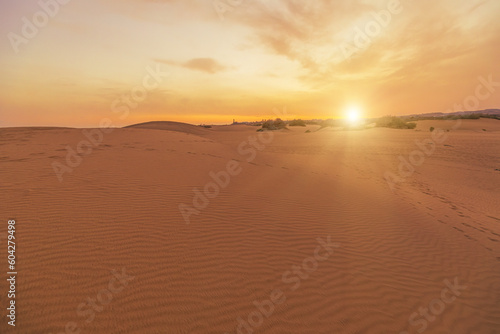 Maspalomas Dunes at sunset comprising of undulating sand dunes that extend for several miles  thus presenting a desert-like ambiance amidst the tropical Gran Canaria island.