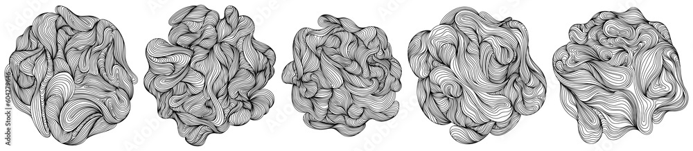 Fototapeta premium Abstract tree rings. Topographic map concept. Thin black lines isolate on white.