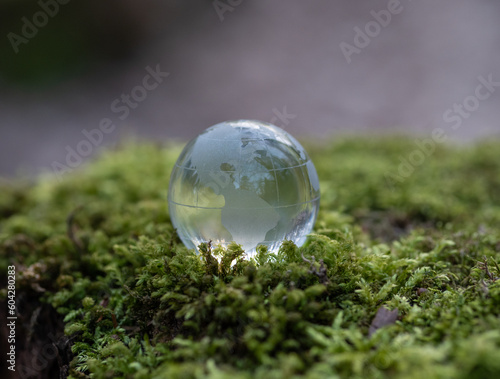 glass earth globe in forest. © wlad074