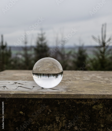 Crystal lens ball in the forest