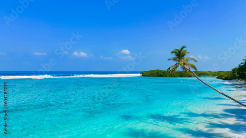 The summer tropical on the sandy beach and turquoise Tropical beach with blue sky background © SASITHORN