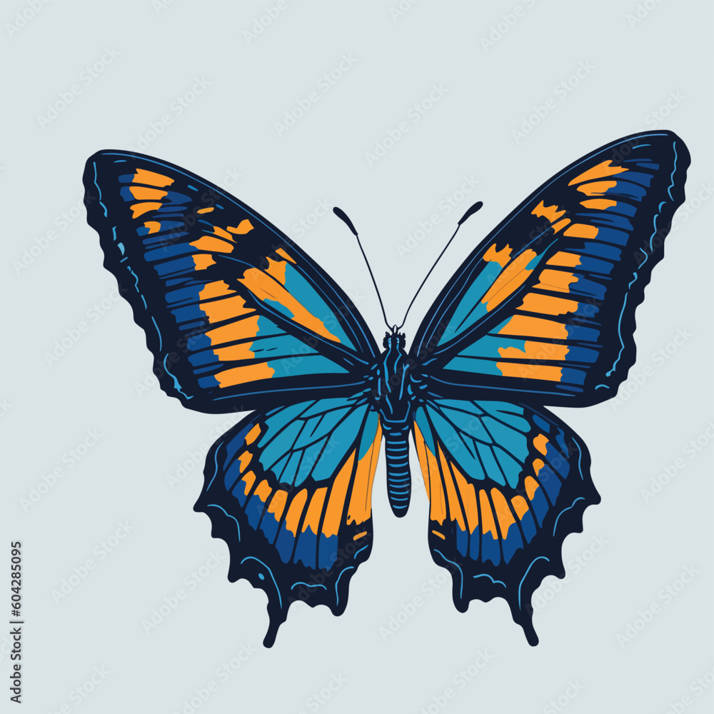 Obraz premium butterfly isolated on white vector 