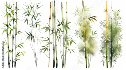 set of watercolor bamboo tree  generative ai