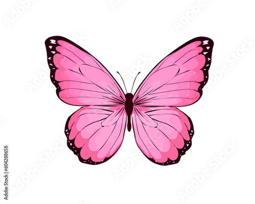 butterfly hand drawn design vector 