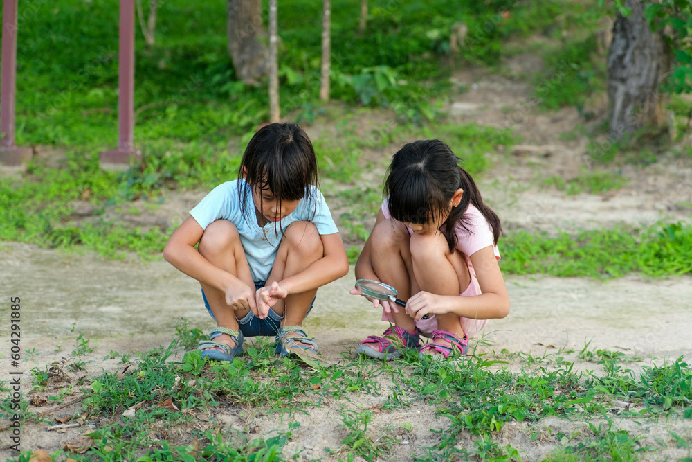 Two cute little girls use a magnifying glass to look and learn about the beetles on the grass in the garden. Alternative education or homeschooling. Two cute little girls use a magnifying glass to look and learn about the beetles on the grass in the garden. Alternative education or homeschooling.