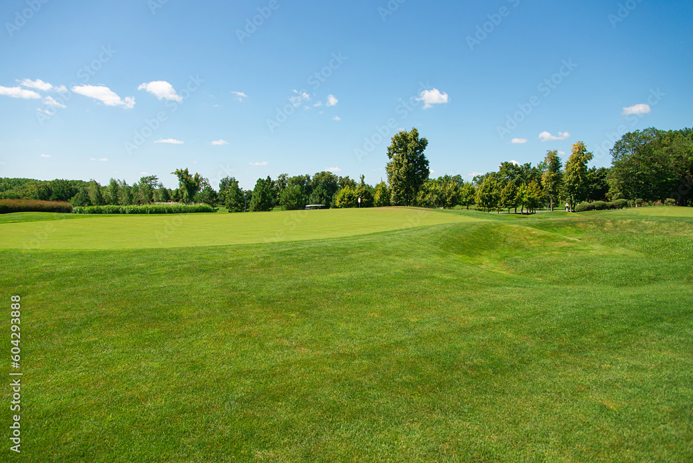 Lush green grass meadow background under the blue sky, grass texture. Beautiful morning light in public park with green grass field an. Lush green grass meadow background under the blue sky, grass texture. Beautiful morning light in public park with green grass field an.