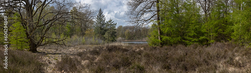 Forest. Woods. Staatsbos Staphorst Ijhorst Overijssel Netherlands. Spring. Lake. Panorama.