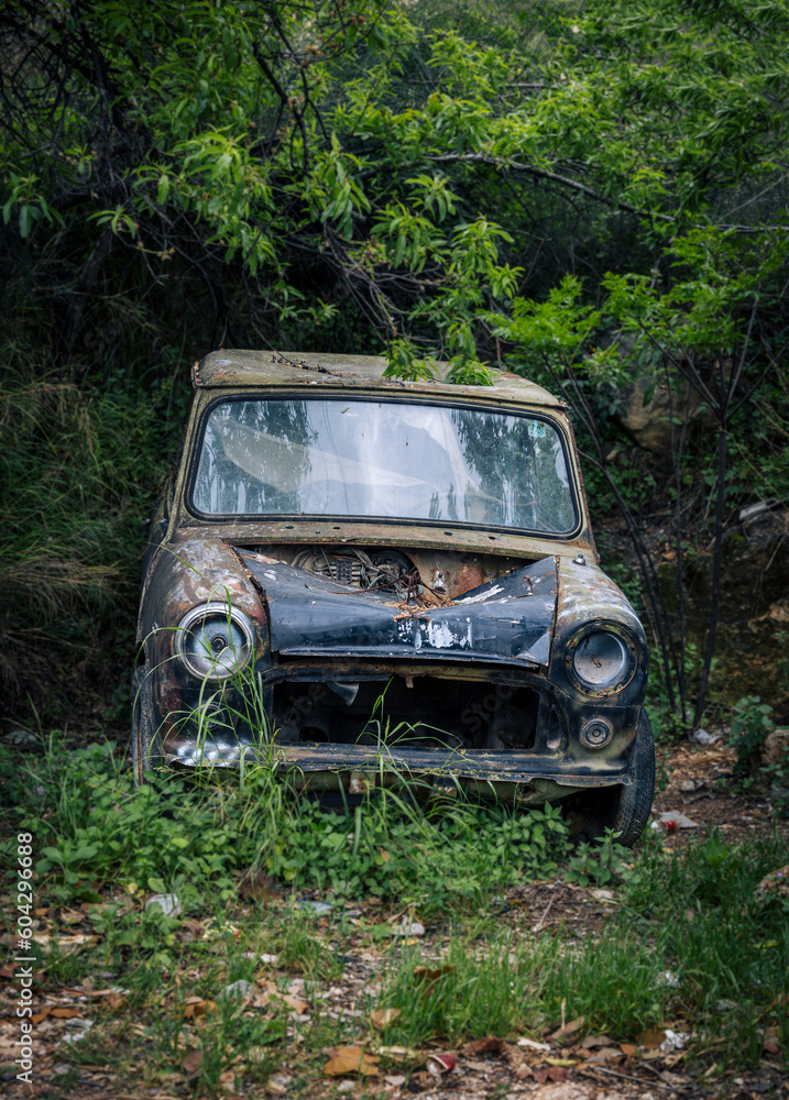 An old rusty scrap car that was dumped in the woods